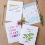 Ronald McDonald House-NY: Encouragement Bundle, 4-PACK